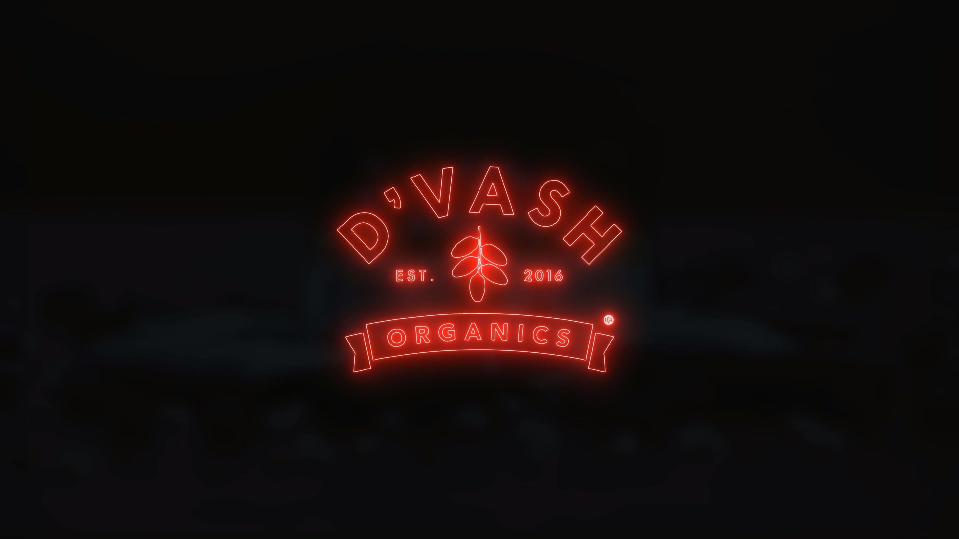 D'vash Organics, Date Energy Bar